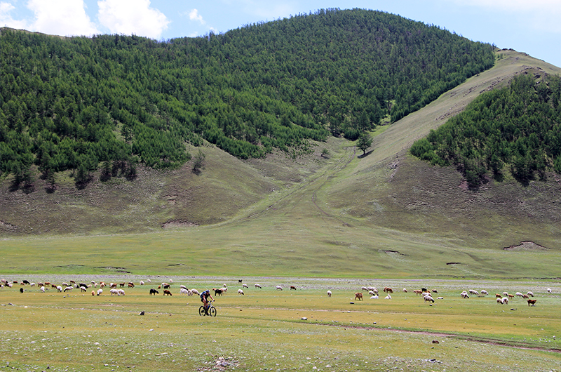 Mountain biking tour in Mongolia